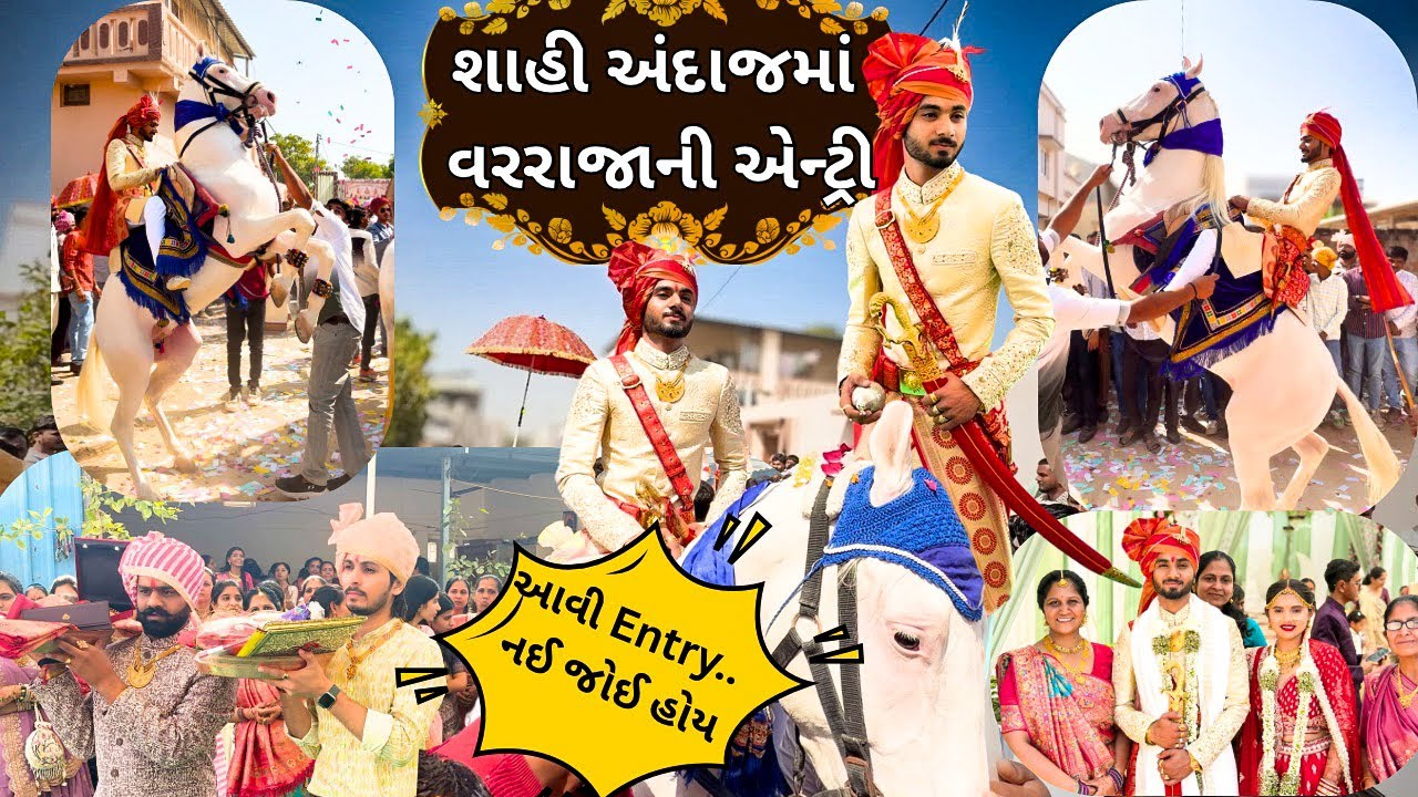 રજવાડી વટ! 👑 શાહી અંદાજમાં વરરાજાની એન્ટ્રી | Amazing Horse Dance  Vlog#311