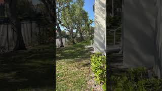 No ducks were hurt this time 😂😂😂