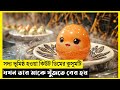 Gudetama Movie Explain In Bangla|Adventure|Comedy|The World Of Keya Extra