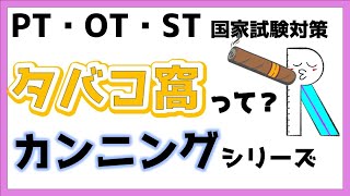 【コレしか勝たん】タバコ窩の覚え方　必勝法　リハビリ国家試験対策