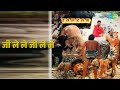जी ले ले जी ले ले | Tarzan | Alisha Chinai | Bappi Lahiri Songs | Dalip Tahil | Kimi Katkar