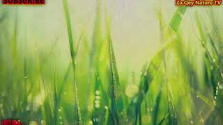 Daily Motivation Quotes