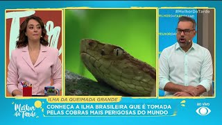 Ilha da Queimada Grande: conheça o lar de cobras venenosas | Melhor da Tarde