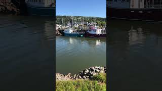 High tide in Alma, New Brunswick