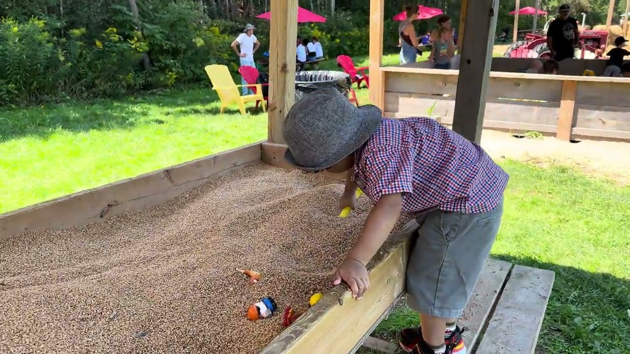 Digging in the Corn Pit at the Farm