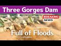 Three gorges dam  full of floods  china crisis  apr 24 2024 now