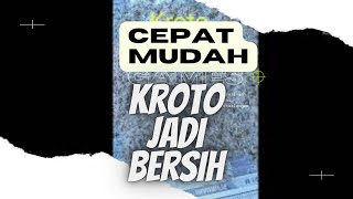 Cara cepat memisahkan Kroto dari Semut Krangrang