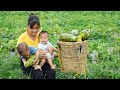 The single mother build farm  raised two children alone harvest honeydew melon go market sell