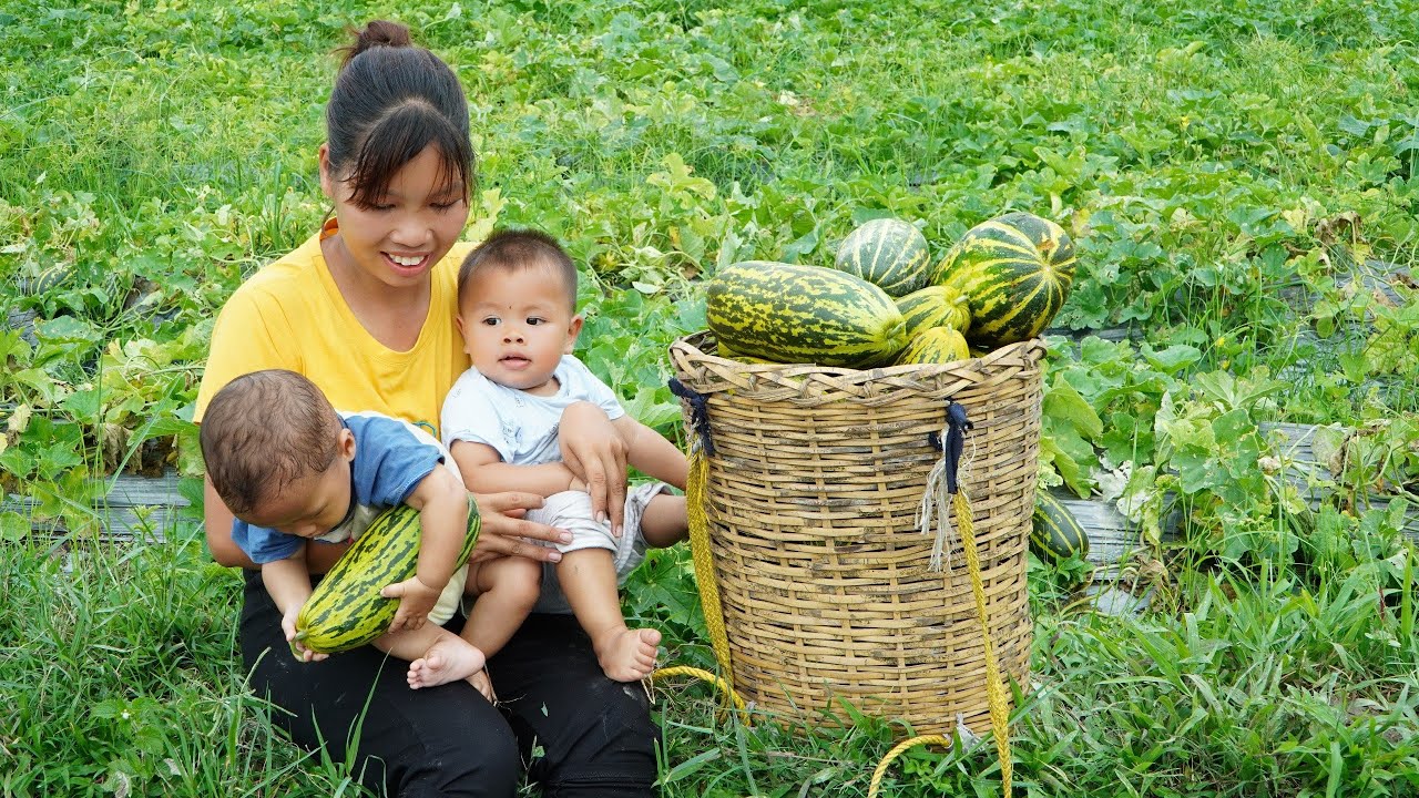 Single mom, Harvest cucumbers goes to the market sell, Make banana cake, Take care of children