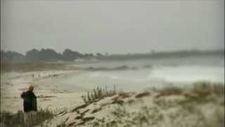 Celebrity The Shift - by Dr. Wayne W. Dyer Profile