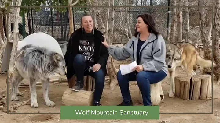 Interview With Tonya Littlewolf & Danna Cruzan -  ...