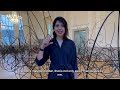 Meet the Artist: Rosana Antolí