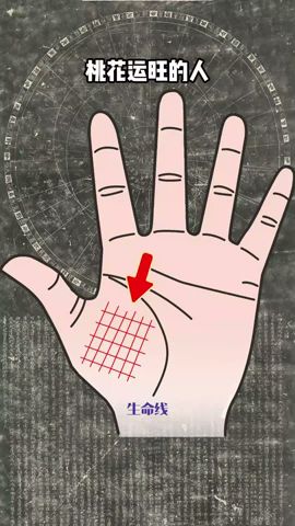 #palmistry #手相 #命理 #八字 #國學智慧