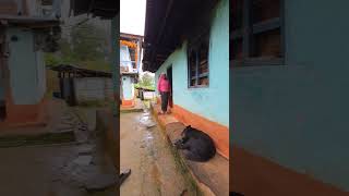 southern bhutan, Traditional Bhutanese house