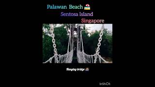 Palawan Beach 🏖️ Sentosa Island 🏝️ Singapore #singapore #youtubeshorts #youtubevideo shorts