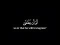 كروما شاشه سوداء قرآن كريم ق ال ا ر ب ن آ إ ن ن ا ن خ اف سورة طه القارئ أحمد خضر كروما شاشه سوداء قرآن كريم ق ال ا ر ب ن آ إ ن ن ا ن خ اف سورة طه القارئ أحمد خضر