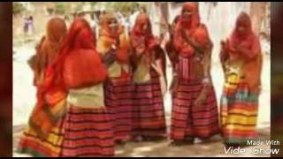 Eritrean music saho Elilisha  2017 🎵🎵👏👏