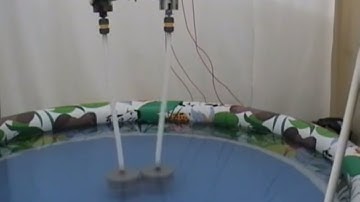 Ionel DINU - Experiments with Cylinders Rotating in Water