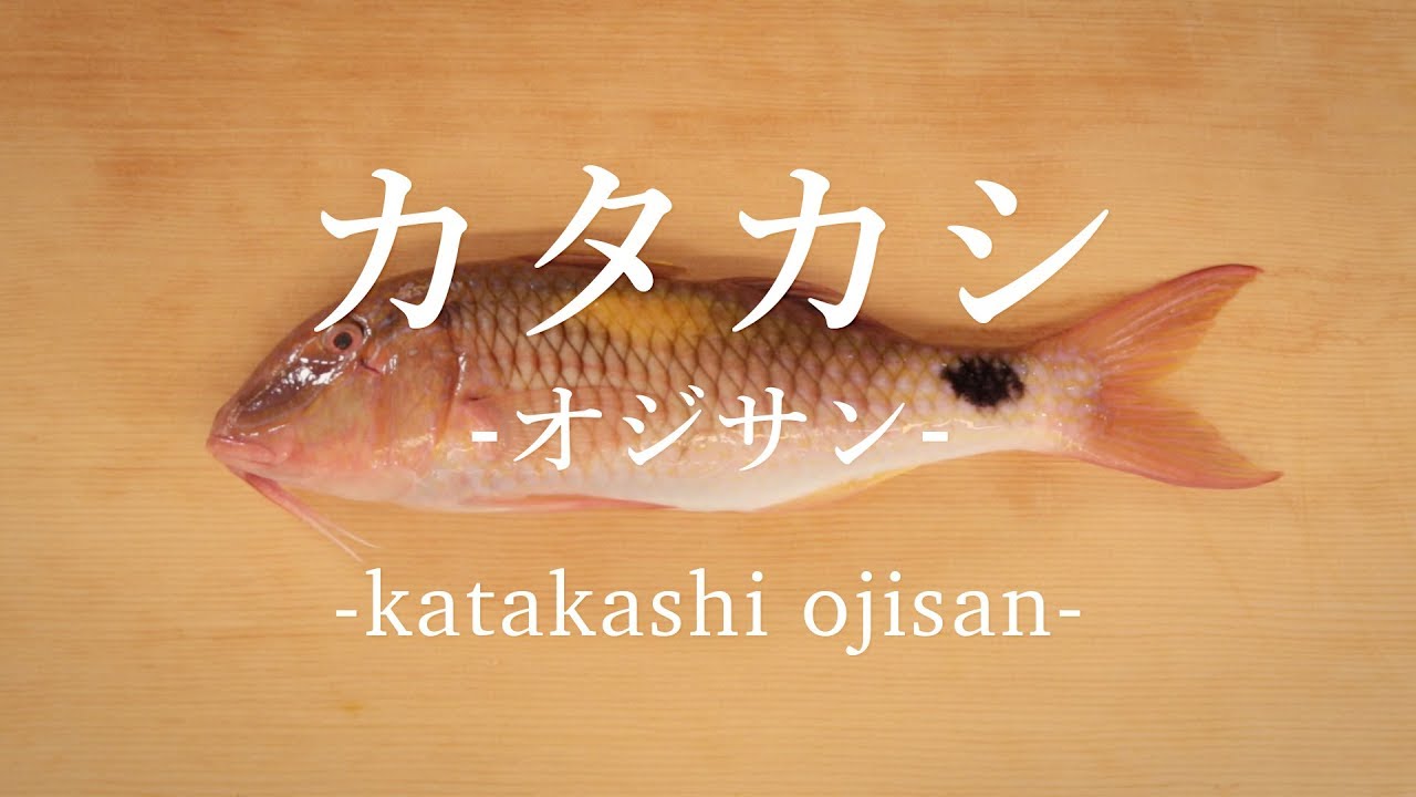 イシミーバイ カンモンハタ のさばき方 How To Filet Honeycomb Grouper 日本さばけるプロジェクト 海と日本プロジェクト Youtube