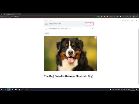 Dog Breed Prediction Streamlit Short Demonstration
