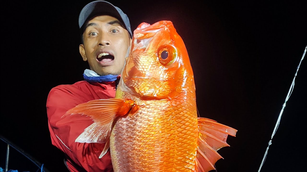 Ruby Sanpper Ruby Snapper On Slow Pitch Jigging Game‼️ Grajagan Banyuwangi 25-10 ...