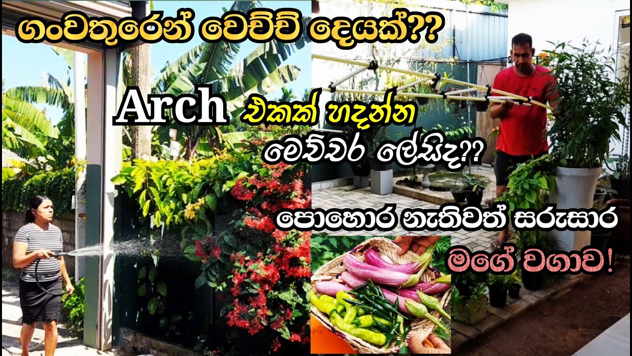 ගෙවත්ත ආයෙත් ලස්සනට අස් කරගමුද ?  😊 කාර්යබහුලව ගෙවුනු දවස් ටිකක් !