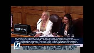 Κεντρικό Δελτίο 29 07 2026