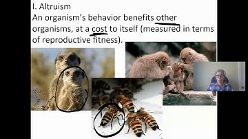 07.05 Sexual Selection, Altruism, Artificial Selection