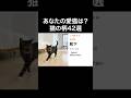 ↓詳細は上の▶︎をタップ👇️【あなたの猫は何位?】猫の柄42選を獣医師が解説します
