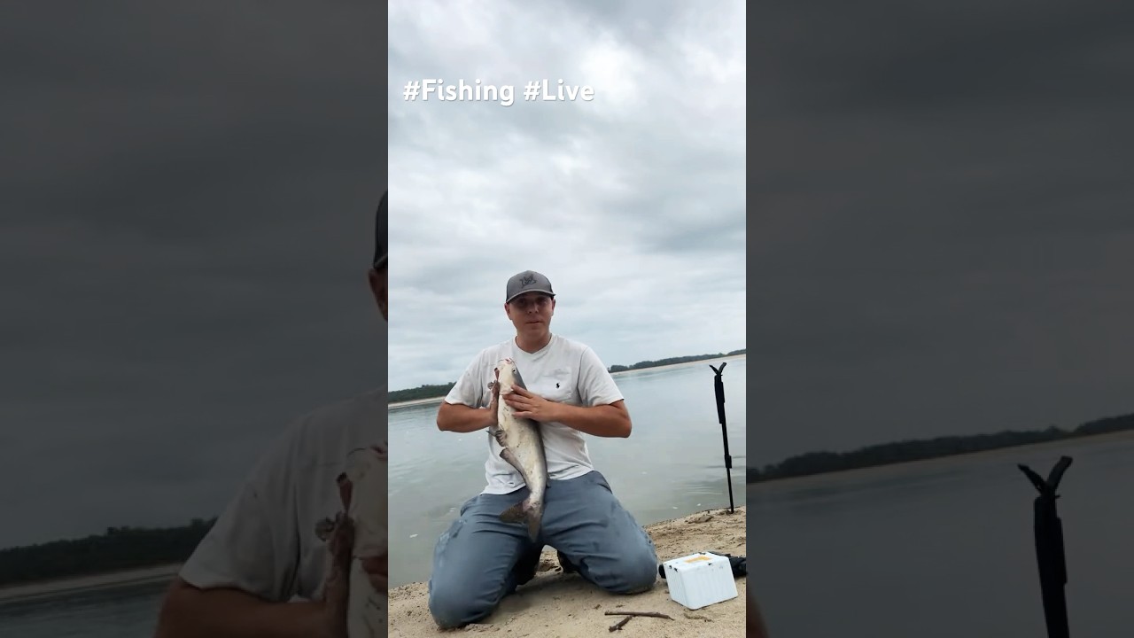 Been having a blast going live with everyone! 