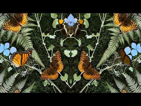 Putar absinthe - Jean-Michel Blais