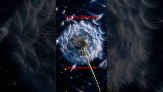 Cosmic Dandelion Seed Drift #relaxing #ambient #visualpoetry #creative #creativerelaxation #lulllab9