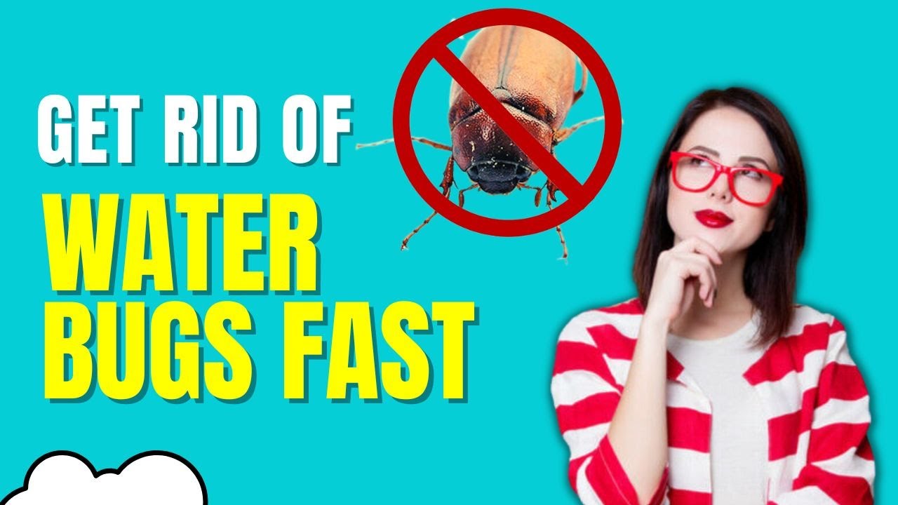 How To Get Rid Of Waterbugs In House (Fast Natural Home Remedies