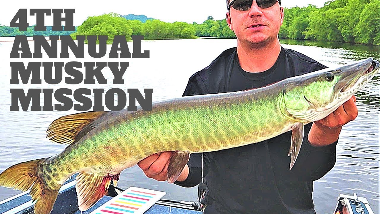 Wisconsin River Musky Fishing YouTube