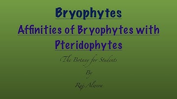 Bryophyte: Affinities of Bryophytes with Pteridophytes…by Raj Alwera