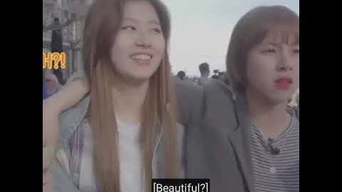 chaeyoung being done with sana😂#shorts #twice #sana#chaeyoung