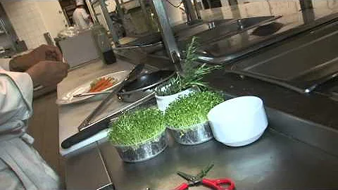 2013 Top Chef Canada   Milton Rebello of Regina Sask