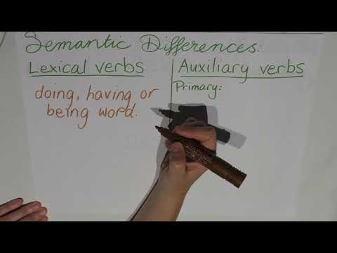 Episode 11 : Differences between auxiliary verbs and lexical verbs