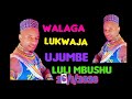 WALAGA LUKWAJA LULI OFFICIAL SOUND