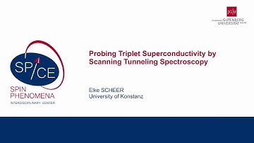 Talks - Coherent order and transport in spin-active systems - Elke SCHEER, University of Konstanz