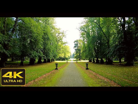 4K Haddo House Country Park Walk | Nature Sounds ASMR | Scottish Countryside [short preview]