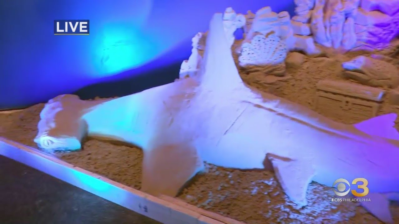 Supersized sand sculptures make waves at Adventure Aquarium YouTube