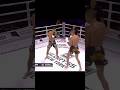 💀 From Alex Pereira to POATAN: The Silent Killer of UFC