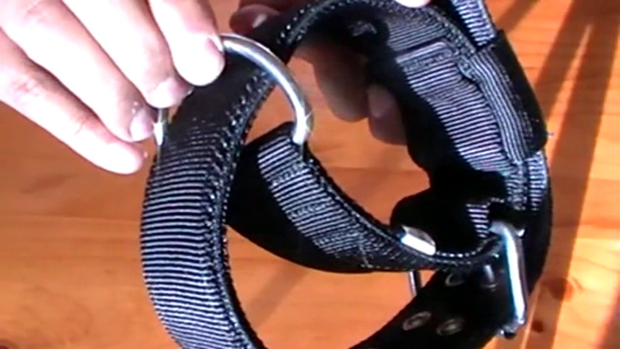 heavy duty dog collar heavyduty dog training collars and leads YouTube