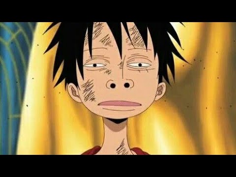 top 5 luffy dumb moments - YouTube