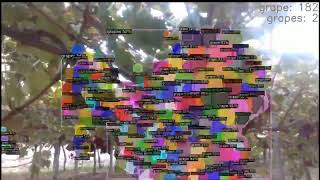 MiFood Robot - Grapes Camera - 3D Computer Vision screenshot 5