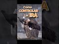 Como controlar la ira #reflexióncristiana