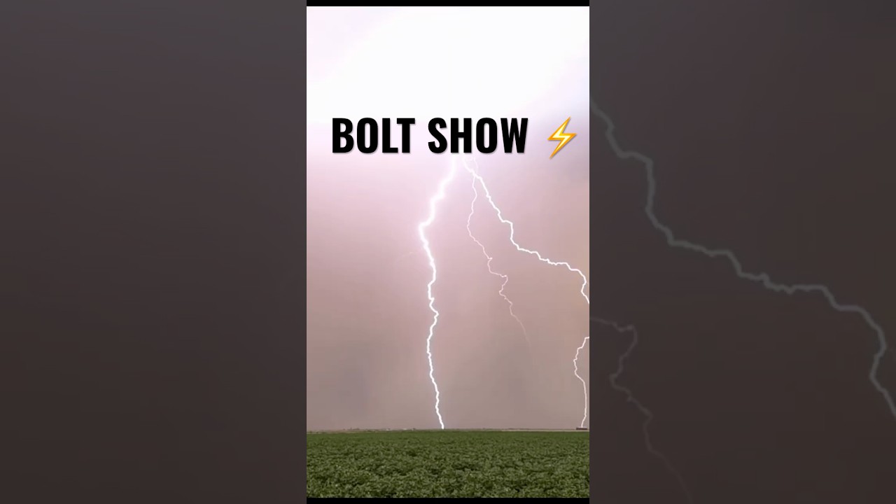 Bolt bonanza #monsoon #lightning #stormchasing