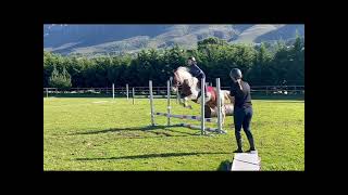 Tried This Mare Today