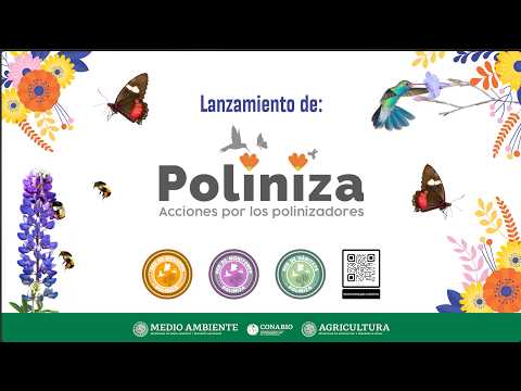 Evento Poliniza 27 de mayo 2026